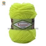 Livercool Wool Yarn 3P - 100% Acrylic