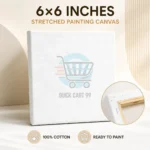 Mixed Size Painting Canvases pack of 5