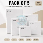 Mixed Size Painting Canvases pack of 5